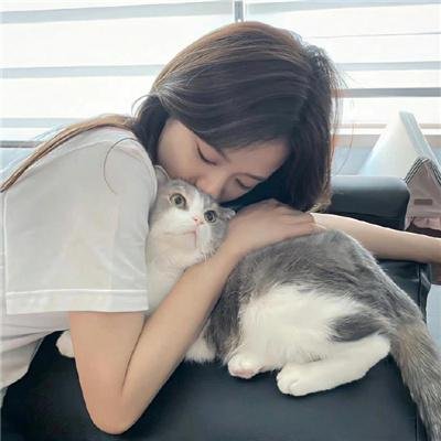 救援狗